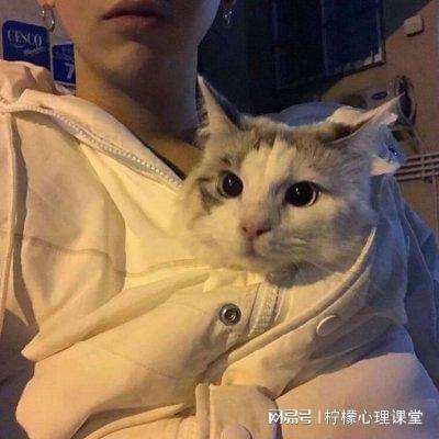 子弹联盟无限金币下载