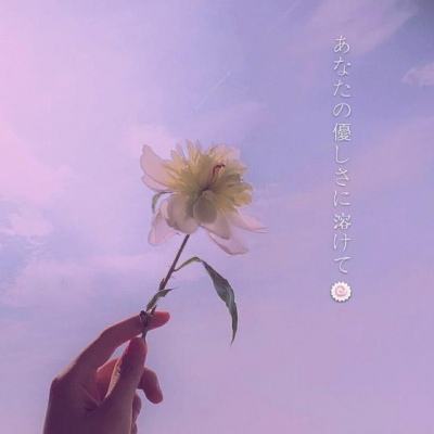 亚萨宠物宝宝游戏下载